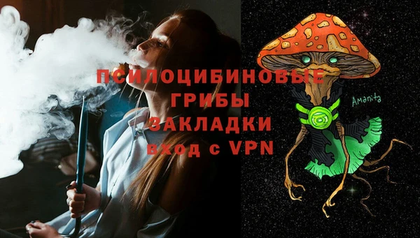 Альфа ПВП Кулебаки