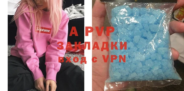 спиды Корсаков