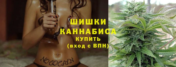 Альфа ПВП Кулебаки