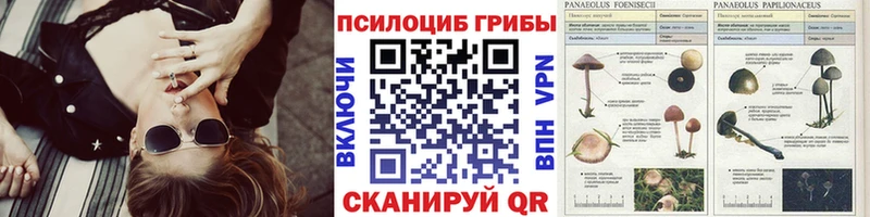 Псилоцибиновые грибы Cubensis  Суровикино 
