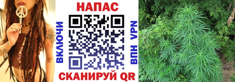 что такое   Суровикино  Каннабис SATIVA & INDICA 